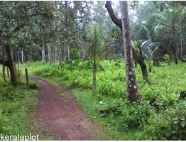 58 Cents of plot in KAYAMKULAM  ALLAPUZHA Dist