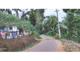 17 Cent Land And 1000 Sq Ft House For Sale In Kattikkulam-Cheroor, Wayanad