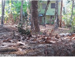 16 cent land near Pishaarikkavu Temple