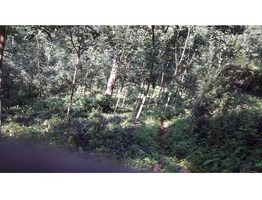 2.26 acres of rubber trees (fourth year) on Edakkunnam - Kanjirappally bus road.