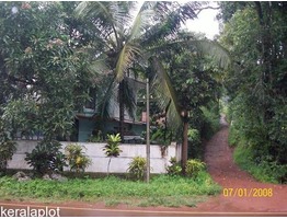 10 cents East facing rectangular plot for sale at Manantheri road side, Chittariparamba