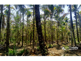 4.30 acre farm purpose land in Padichira @ 13 lakh/acre