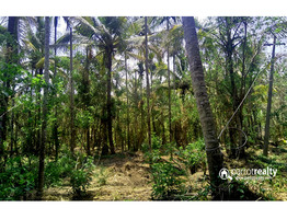 4.30 acre farm purpose land in Padichira @ 13 lakh/acre