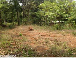 10 cents East facing rectangular plot for sale at Manantheri road side, Chittariparamba