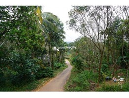 28 cent  house plot for sale in Payode near Mananthavady…...