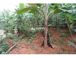 28 cent  house plot for sale in Payode near Mananthavady…...