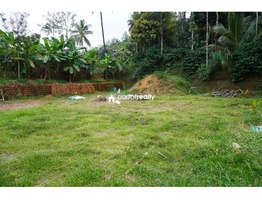 28 cent  house plot for sale in Payode near Mananthavady…...