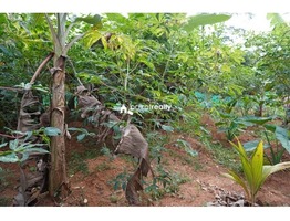 28 cent  house plot for sale in Payode near Mananthavady…...