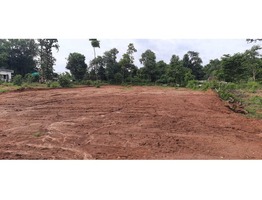 59 cents residential land for sale near Athicode junction in Palakkad district