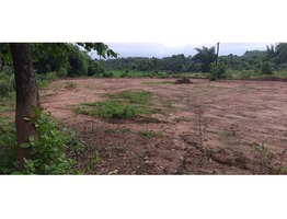 59 cents residential land for sale near Athicode junction in Palakkad district