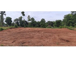 59 cents residential land for sale near Athicode junction in Palakkad district