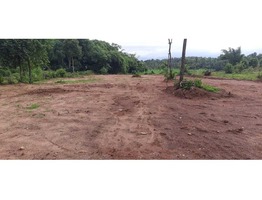 59 cents residential land for sale near Athicode junction in Palakkad district