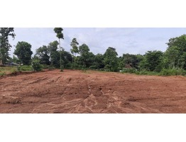 59 cents residential land for sale near Athicode junction in Palakkad district