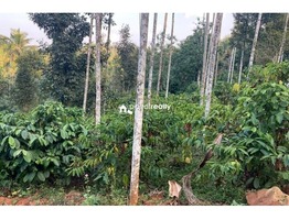 60 cent land for sale in Arivayal near Bathery…..