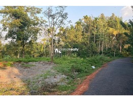 60 cent land for sale in Arivayal near Bathery…..