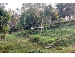 60 cent land for sale in Arivayal near Bathery…..