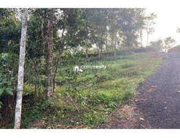 60 cent land for sale in Arivayal near Bathery…..