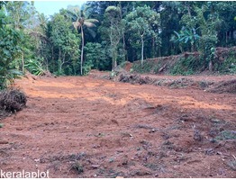 25 cents residential land for sale near Uzhavoor junction in kottayam district