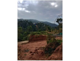 42 cent road frontage land sale near Munnar, Kuthumgal junction