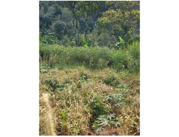 42 cent road frontage land sale near Munnar, Kuthumgal junction