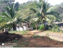 plot for sale in peechi