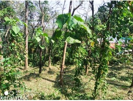 plot for sale in peechi