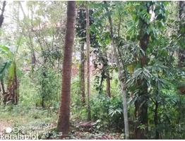 plot for sale in peechi