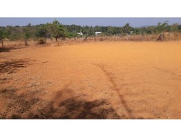 Residential 10 & 14 cent plots for sale near Athani, mulagunnathukavu junction