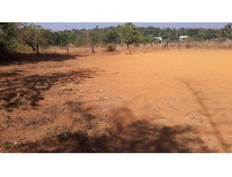 Residential 10 & 14 cent plots for sale near Athani, mulagunnathukavu junction