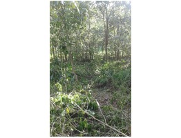 Residential land for sale in kollam