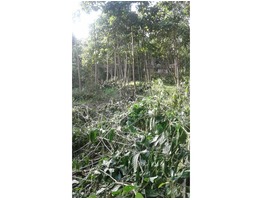 Residential land for sale in kollam