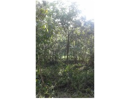 Residential land for sale in kollam