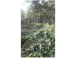 Residential land for sale in kollam