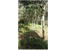 Residential land for sale in kollam