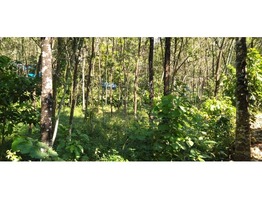 72 cents land and house for sale in Karimannor panchayat in Idukki district