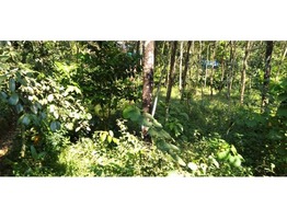 72 cents land and house for sale in Karimannor panchayat in Idukki district