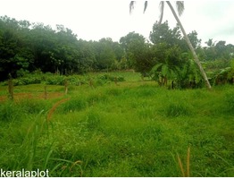 Royal Plots Ernakulam