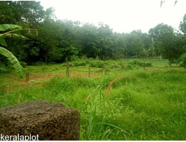 Royal Plots Ernakulam