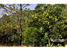 75 cent  investment purpose land  in Padinjarathara near Banasura dam @ 25000/cent