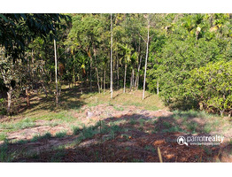 75 cent  investment purpose land  in Padinjarathara near Banasura dam @ 25000/cent