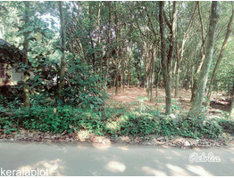 15 Cent plot for sale - 4 Km from Vazhakulam