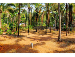 15 cent plot sale at malappuram edappal