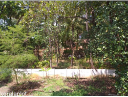 25 cents prime land on chittur road, palakkad for sale