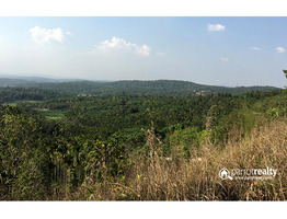 1.05 acre Resort purpose land in Manalvayal @ 25 lakh.Wayanad