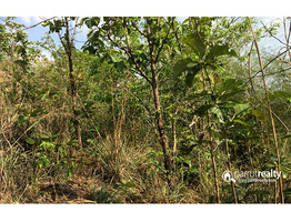 1.05 acre Resort purpose land in Manalvayal @ 25 lakh.Wayanad