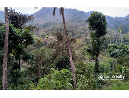 5 acre investment purpose land   for sale in Chipplithode - kozhikode @ 12lakh/acre