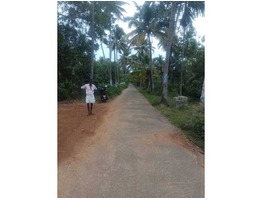 100 cents residential land for sale near Pulikeezhu, Karthikapally junction