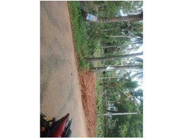 100 cents residential land for sale near Pulikeezhu, Karthikapally junction