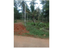 100 cents residential land for sale near Pulikeezhu, Karthikapally junction