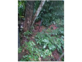 12 cent Agriculture Land for sale in Chingavanam